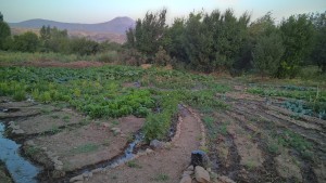 WP_20150813_19_51_01_Rich